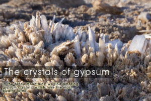 crystals-of-gypsum-kazakhstan-expeditions