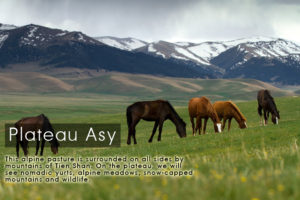plateau-asy-kazakhstan-expeditions